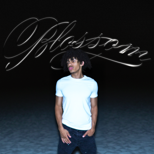 Blossom Premium Multibank