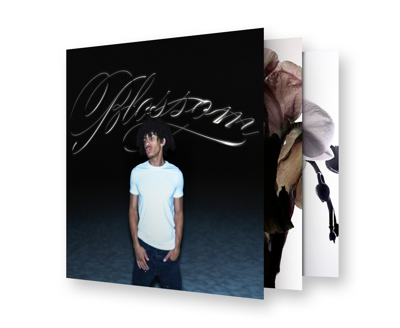 Blossom Premium Multibank